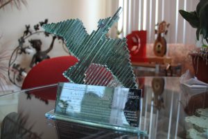premios internacionales gaviota